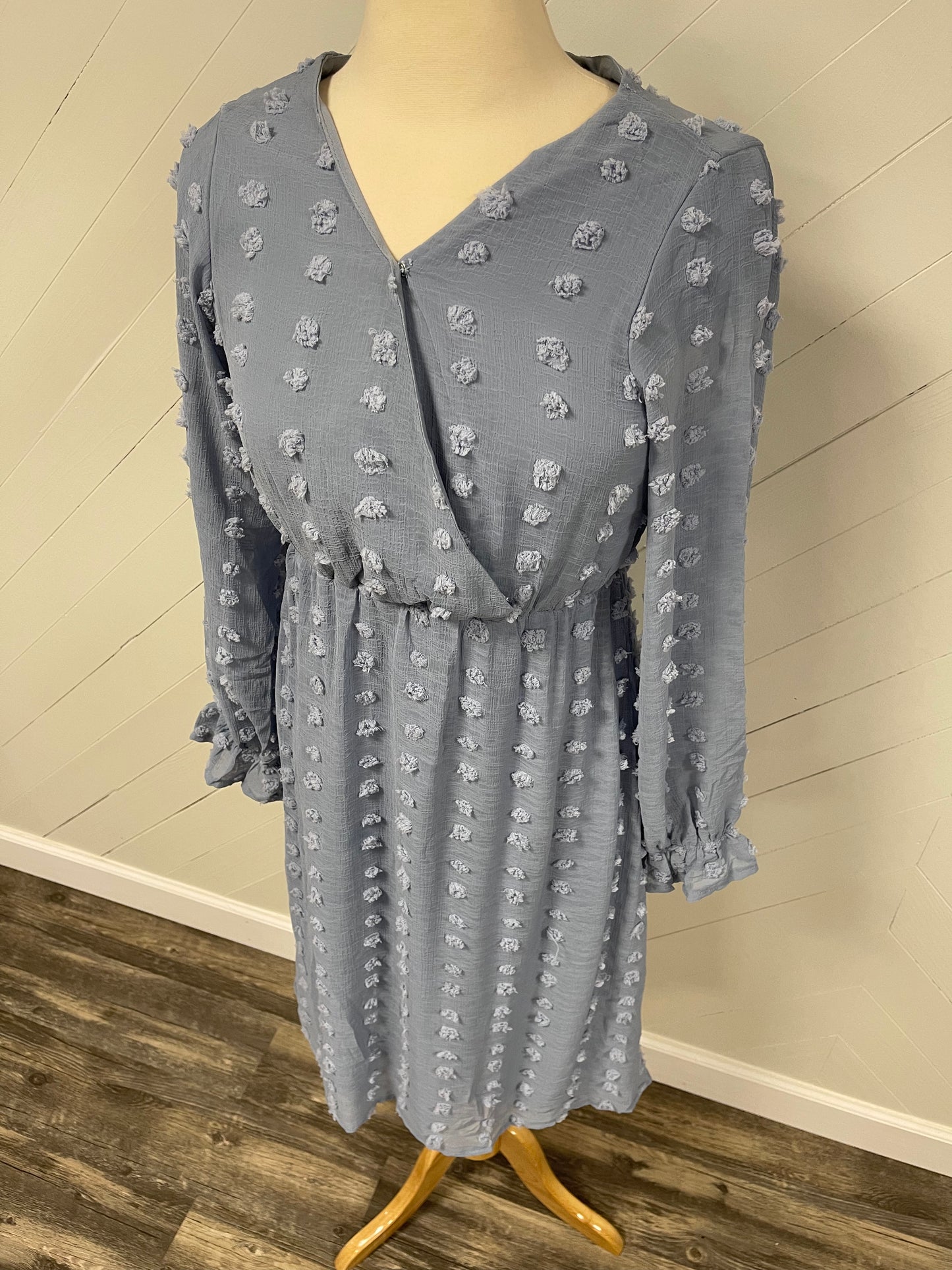 Baby Blue Swiss Dot Dress